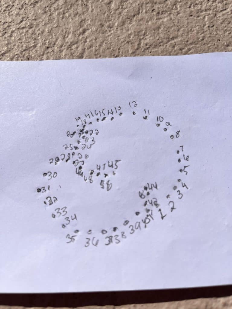 Numbered picture