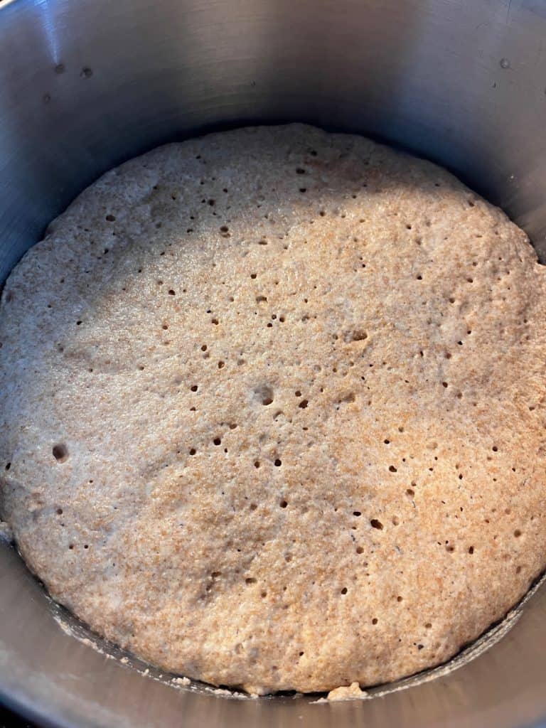 close up of bubbly dough
