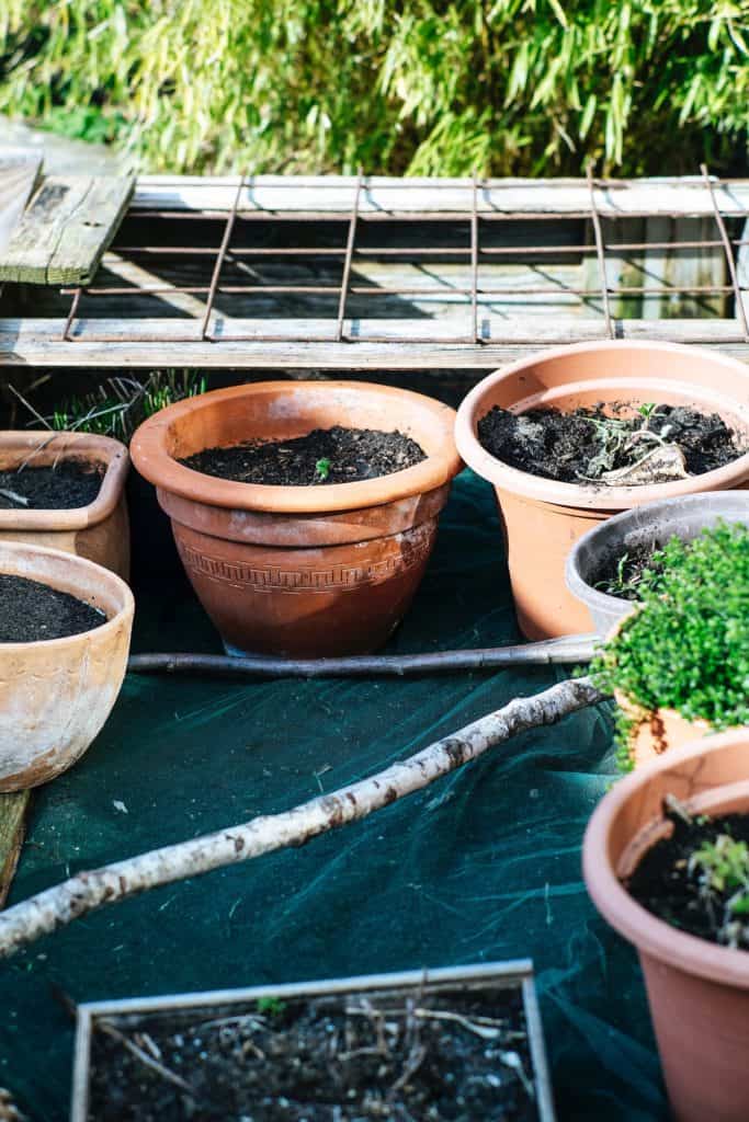 pots full of dirt